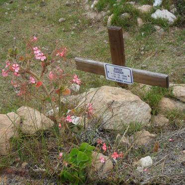 CLAASEN Ashley 1990-2014