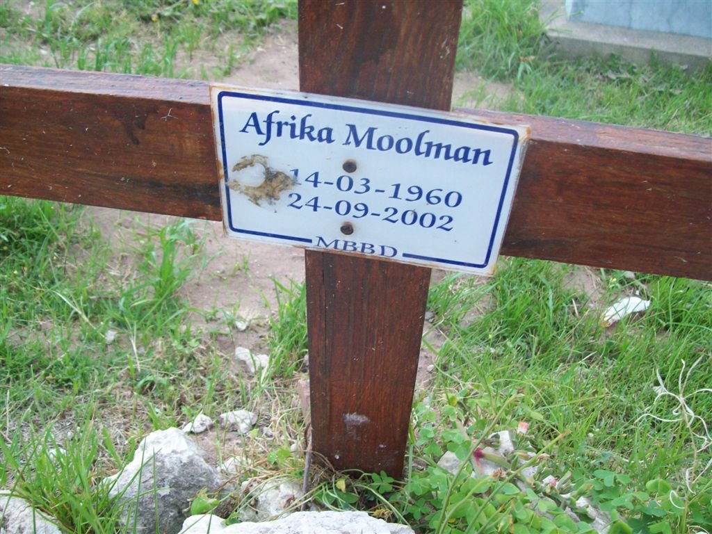 MOOLMAN Afrika 1960-2002