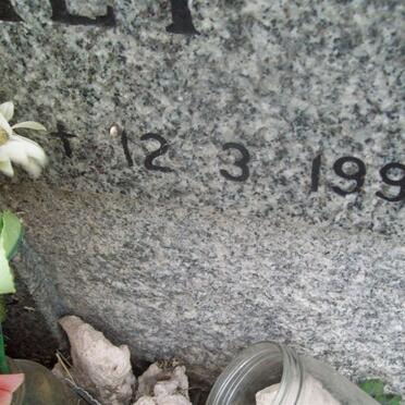 RIET William John, van der 1973-1995 