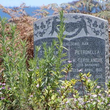 TERBLANCHE Stephanus Salomon Johannes Petrus 1852-1936 &amp; Petronella Maria Johanna BARNARD 1862-1936