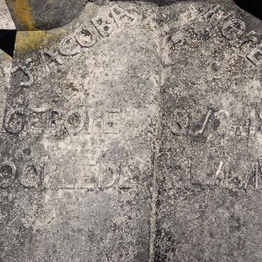 NORTJE Jacoba 1881-1962