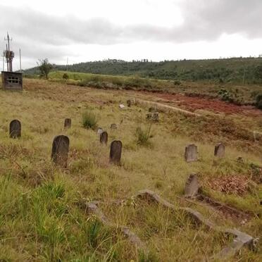 3. Overview / Oorsig