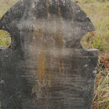 LAMPRECHT Hester ? Aletta -1941