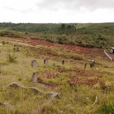 2. Overview / Oorsig