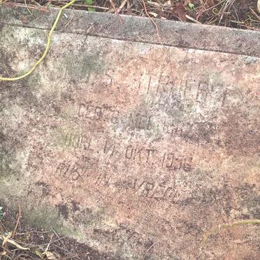 STROEBEL D.J.S. 1886-1956