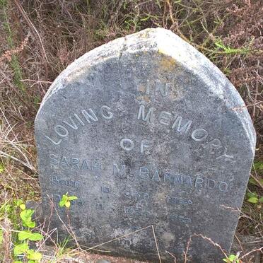 BARNARDO Sarah M. 1864-1937