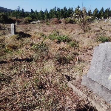 3. Overview / Oorsig