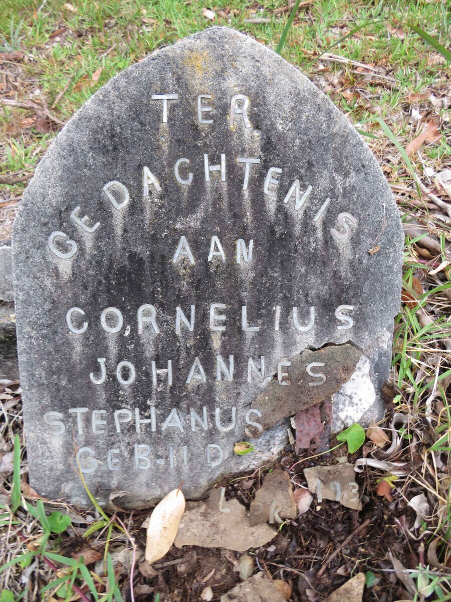 ? Cornelius Johannes Stephanus ?193