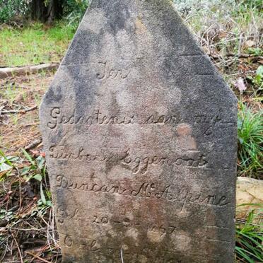 Western Cape, KNYSNA district, Plettenberg Bay, Matthysbosch 431, farm cemetery