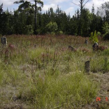 2. Graveyard overview