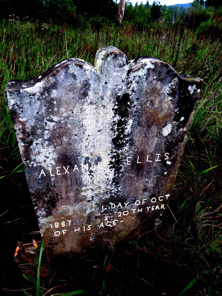 ELLIS Alexander -1887 _1