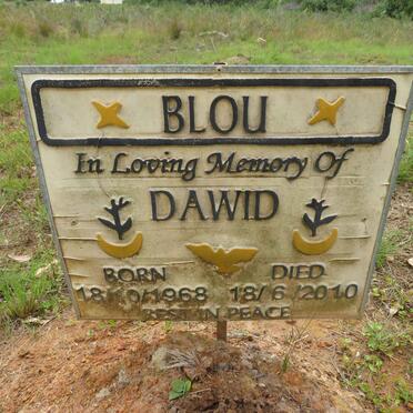 BLOU Dawid 1968-2010