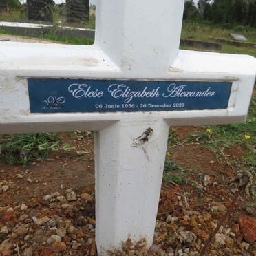 ALEXANDER Elese Elizabeth 1956-2023