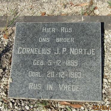 N - Vanne :: Surnames - N