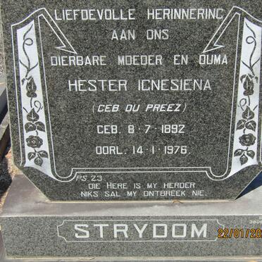 STRYDOM Hester Ignesiena nee DU PREEZ 1892-1976