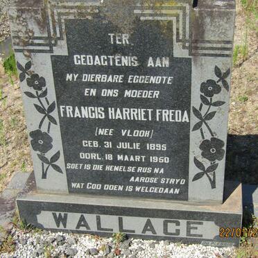 WALLACE Francis Harriet Freda nee VLOOH 1895-1950