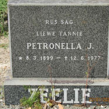 ZEELIE Petronella J. 1899-1977