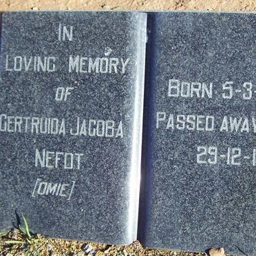 NEFDT Gertruida Jacoba 1868-1966