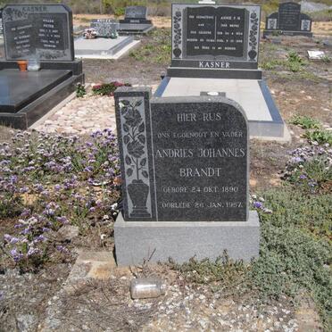 BRANDT Andries Johannes 1890-1957