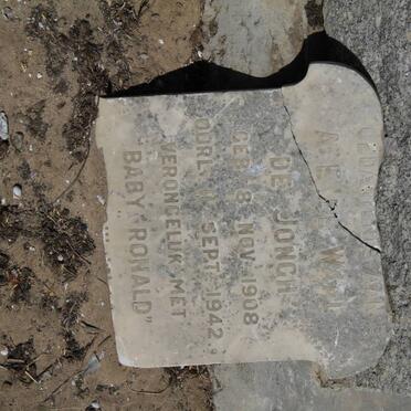 JONGH A.E de Waal, de 1908-1942