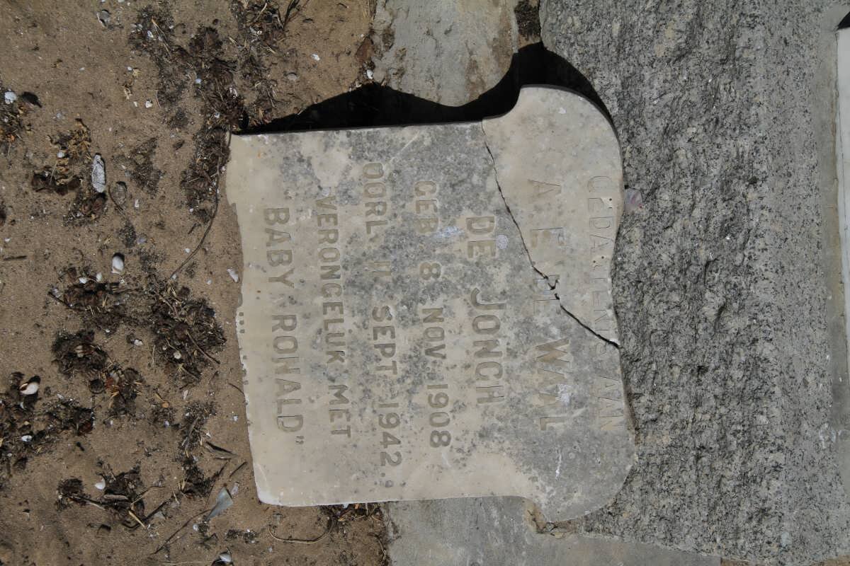 JONGH A.E de Waal, de 1908-1942