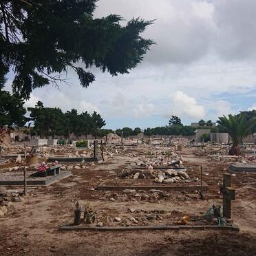 4. Overview / Oorsig