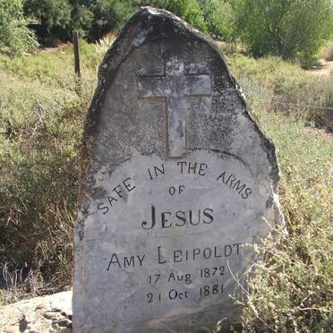 LEIPOLDT Amy 1872-1881