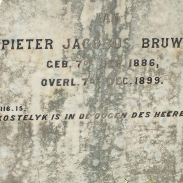BRUWER Pieter Jacobus 1886-1899