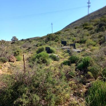 1. Oorsig / Overview