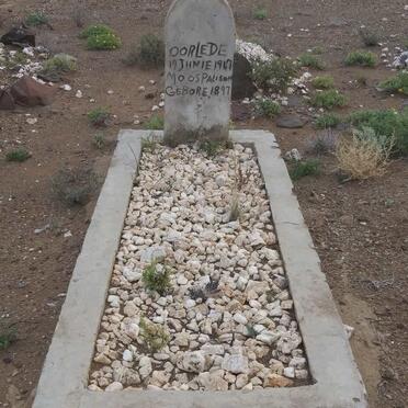 PALISON Moos 1897-1967