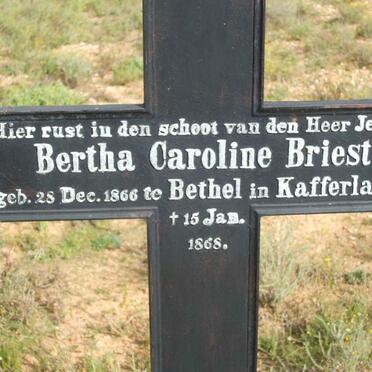 BRIEST Bertha Caroline 1866-1868