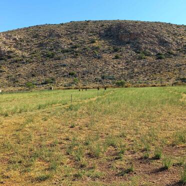 1. Overview / Oorsig