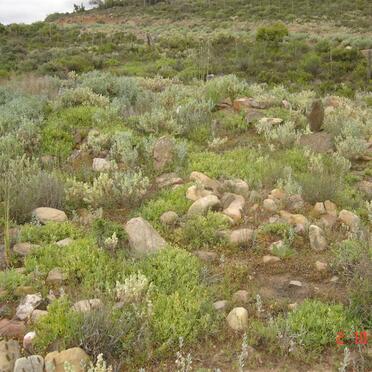 5. Overview - Loads of unmarked graves