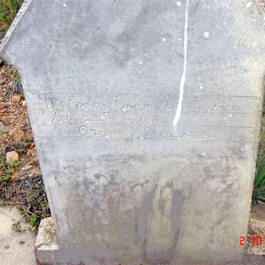 NEL Helena Francina 1862-1922