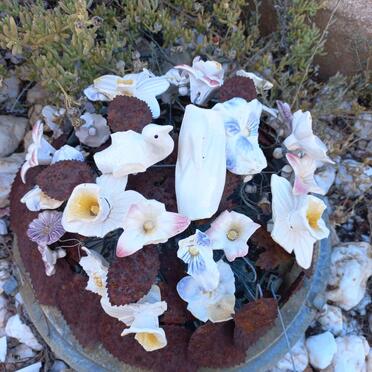 4. Pragtige ou porseleinkrans