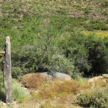 1. Entrance to Mziwoxolo