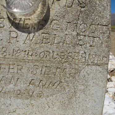 MELLET Jan P. 1874-1940