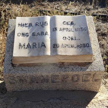 Western Cape, LAINGSBURG district, Driefontein 251_1, farm cemetery
