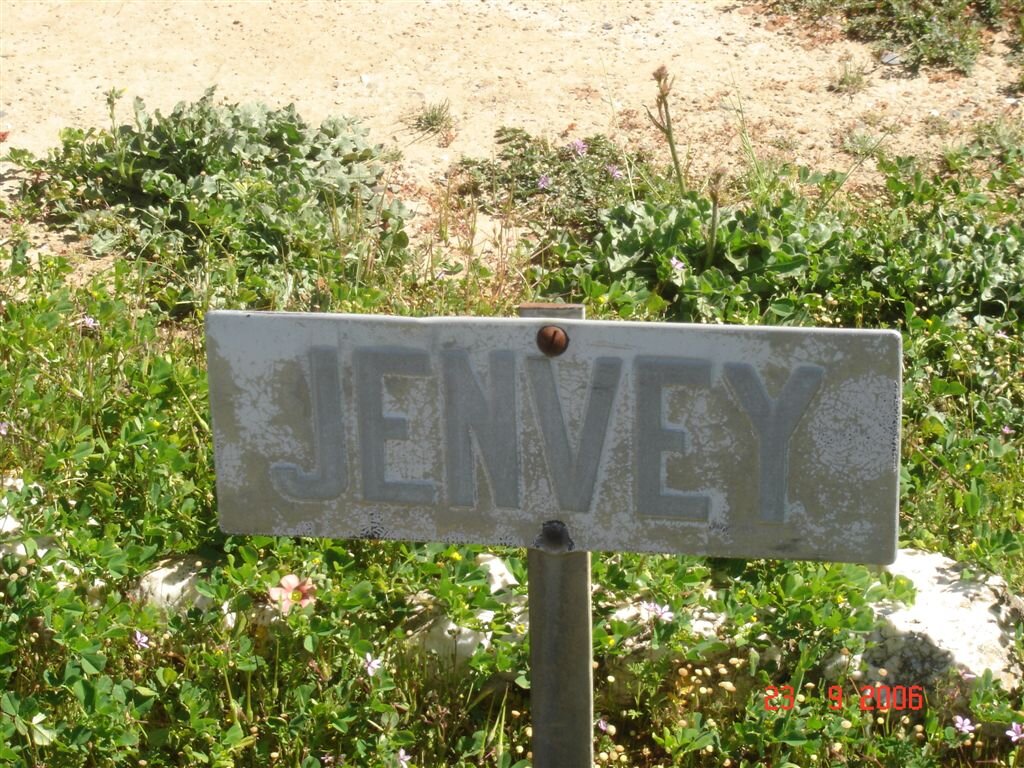 JENVEY