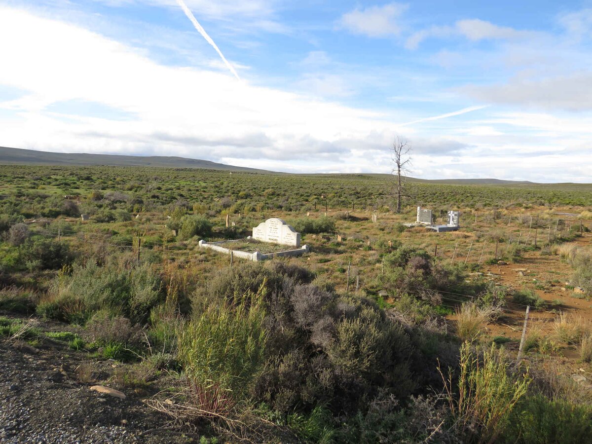 1. Oorsig / Overview