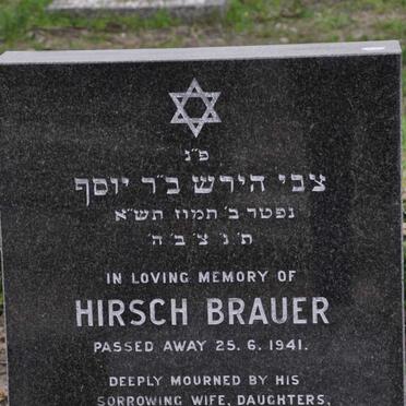 BRAUER Hirsch -1941