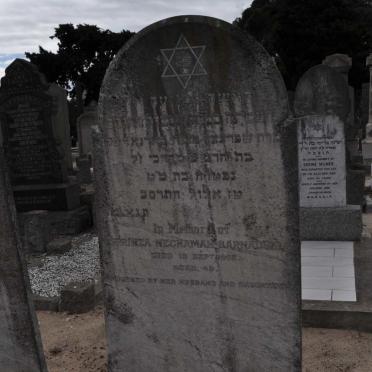 BARNADSKI Sprinza Nechamah -1902