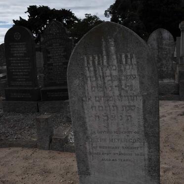 COHEN Joseph Meyer -1905