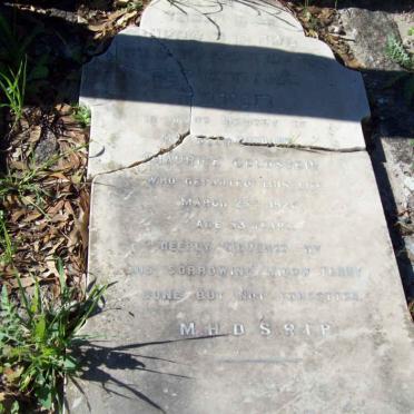 GOLDSTEIN Maurice  -192?