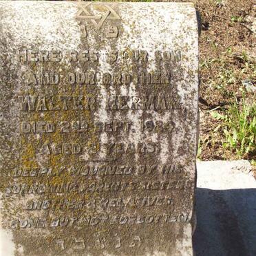 HERMAN Walter  -1924 