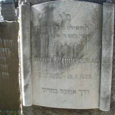 HAMMERSCHLAG Siegmund 1850-1920