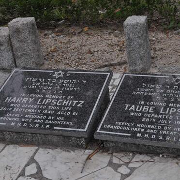 LIPSCHITZ Harry -1940 &amp; Taube -1983