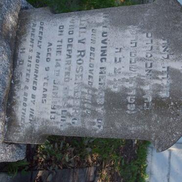 ROSENBERG Lily  -1913 