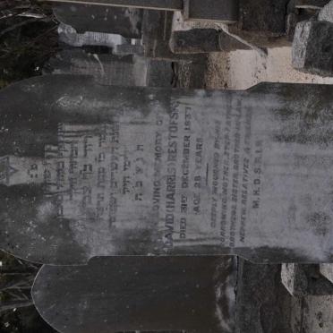 RESTOFSKY David -1937