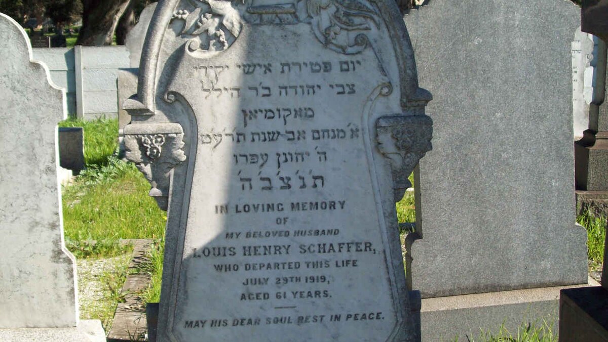 SCHAFFER Louis Henry  -1919 